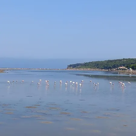 La franqui ,Duplex pour 2 ou 3 ,piscine du 15 juin au 15 septembre, mer ,soleil , station familiale *